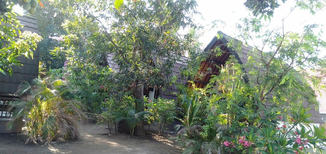 Hello Lumbung Homestay Gili Air Exteriér fotografie